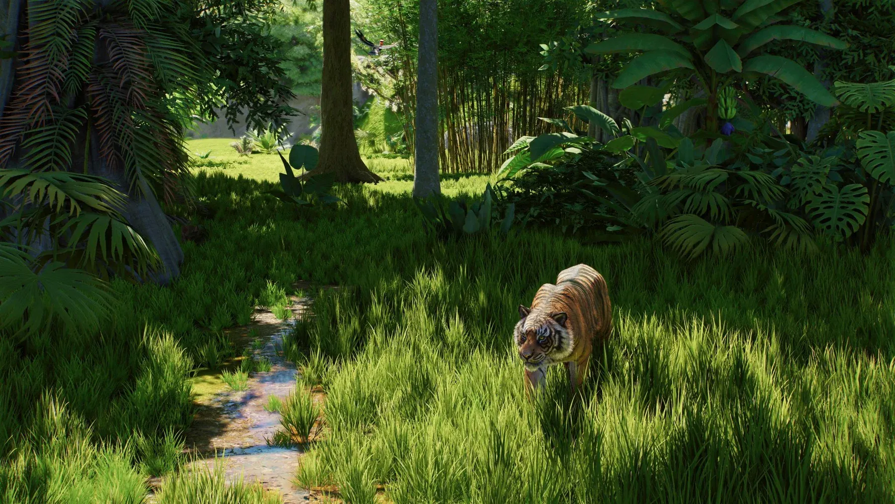 Planet Zoo 2 (Playstation 5)