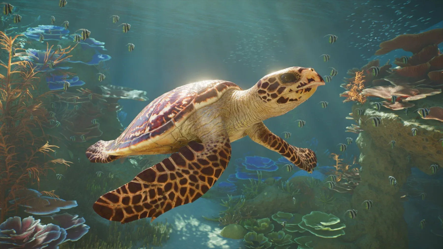 Planet Zoo 2 (XBOX Series X)