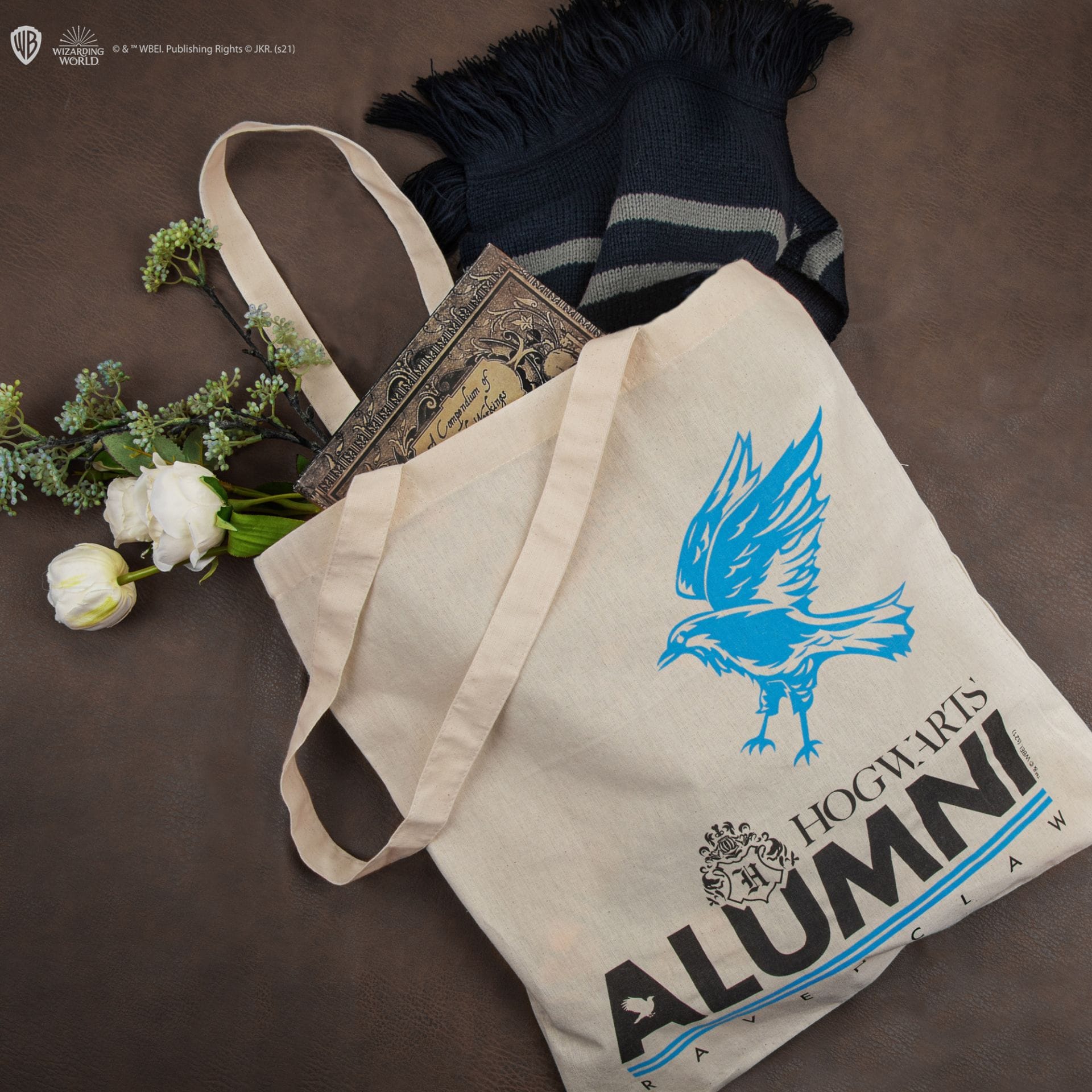 CINEREPLICAS: HARRY POTTER - TOTE BAG - ALUMNI RAVENCLAW 4895205604469