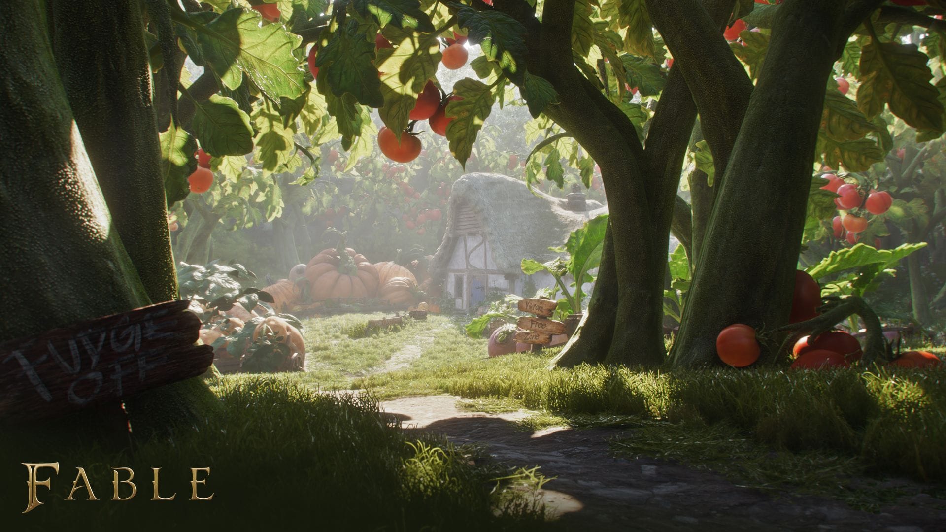 Fable (Xbox Series X) 196388866816