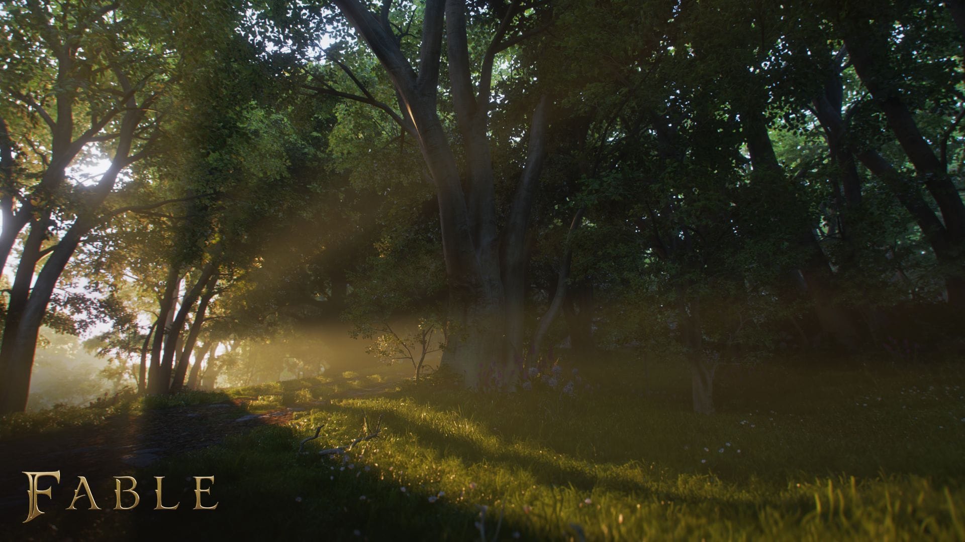 Fable (Xbox Series X) 196388866816