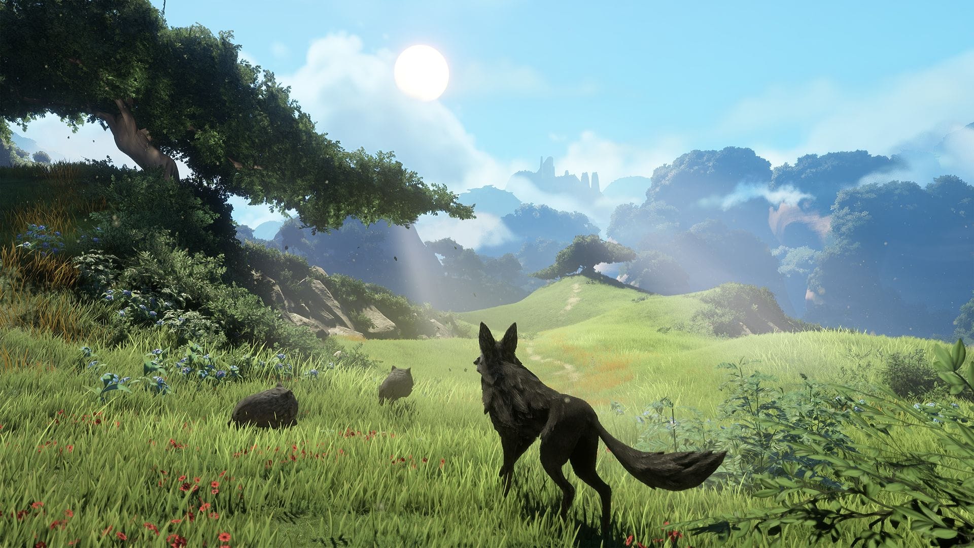 Lost Ember - Wolf Pack Edition (Xbox Series X) 3701529516399
