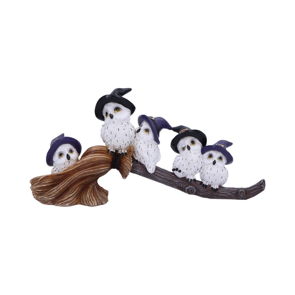 NEMESIS NOW FEATHERED BROOMSTICK figura 26CM 801269154318