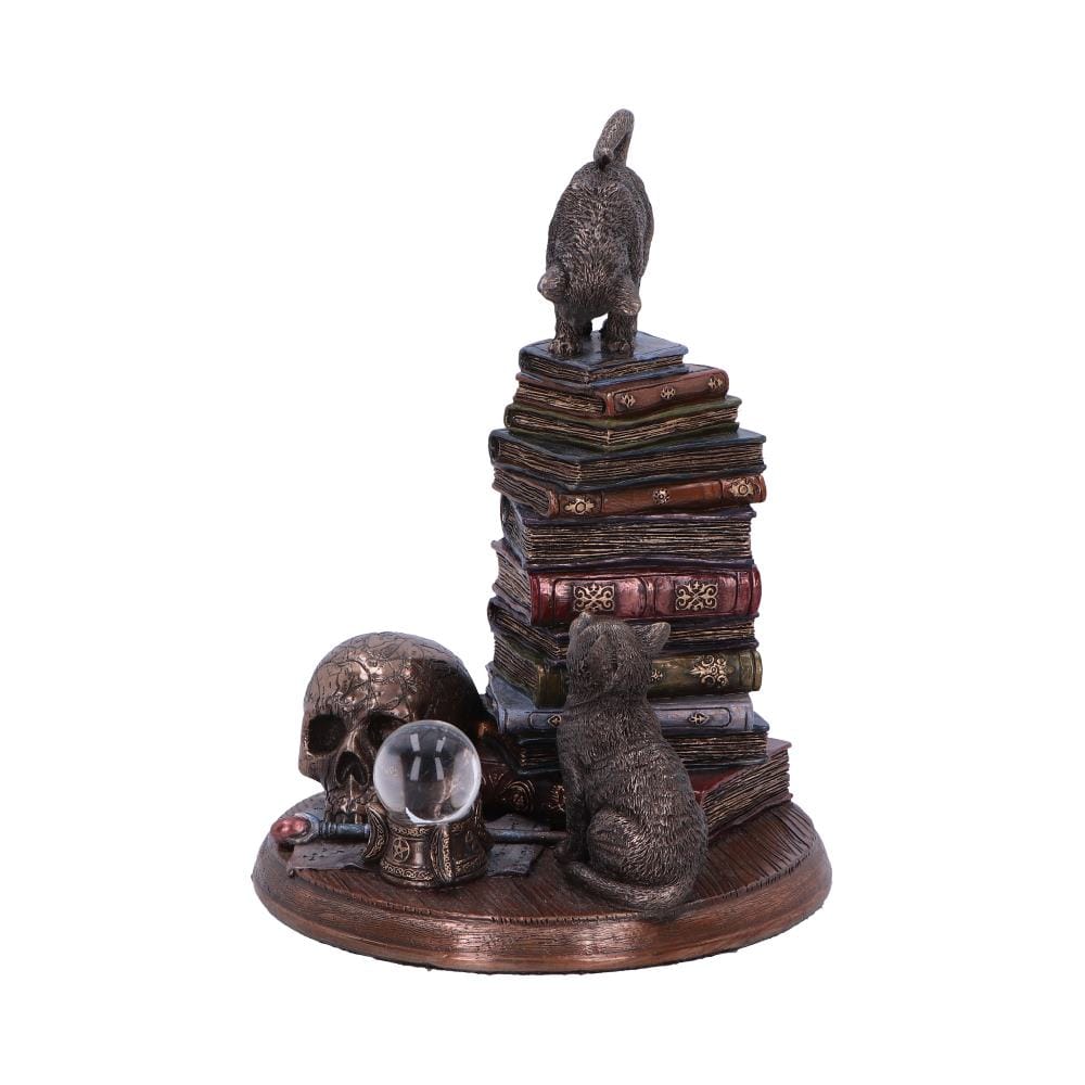NEMESIS NOW FELINE SCHOLARS 18CM figura 801269155933