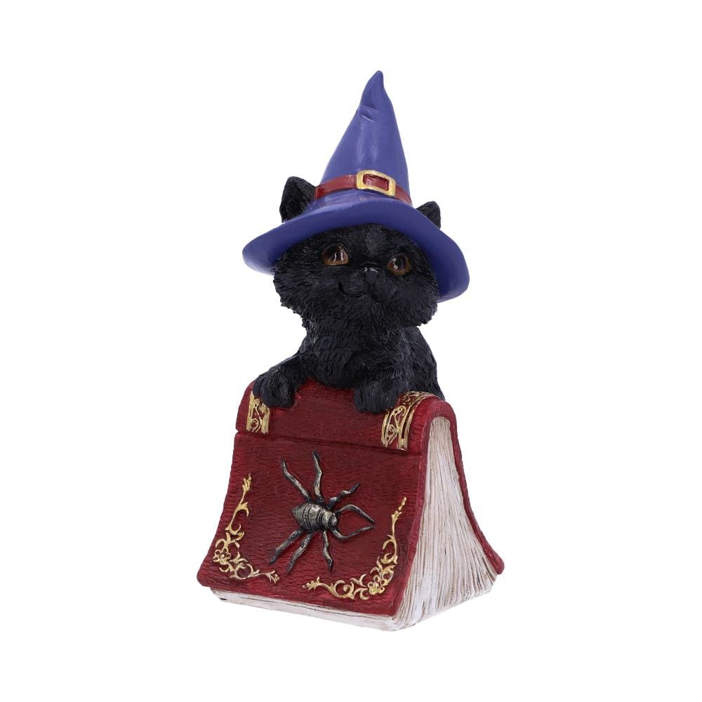 NEMESIS NOW HOCUS 12,7CM figura 801269139384