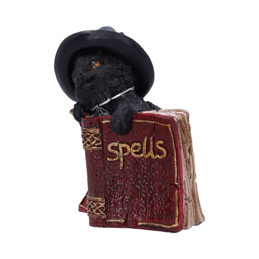 NEMESIS NOW KITTY'S GRIMOIRE (RED) 8,2CM figura 801269144470