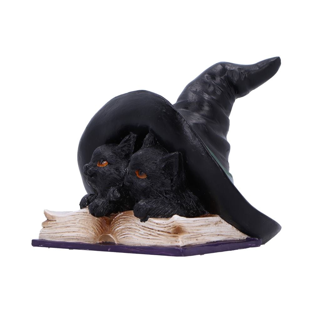 NEMESIS NOW POTION PAIR figura 10.5CM 801269157425