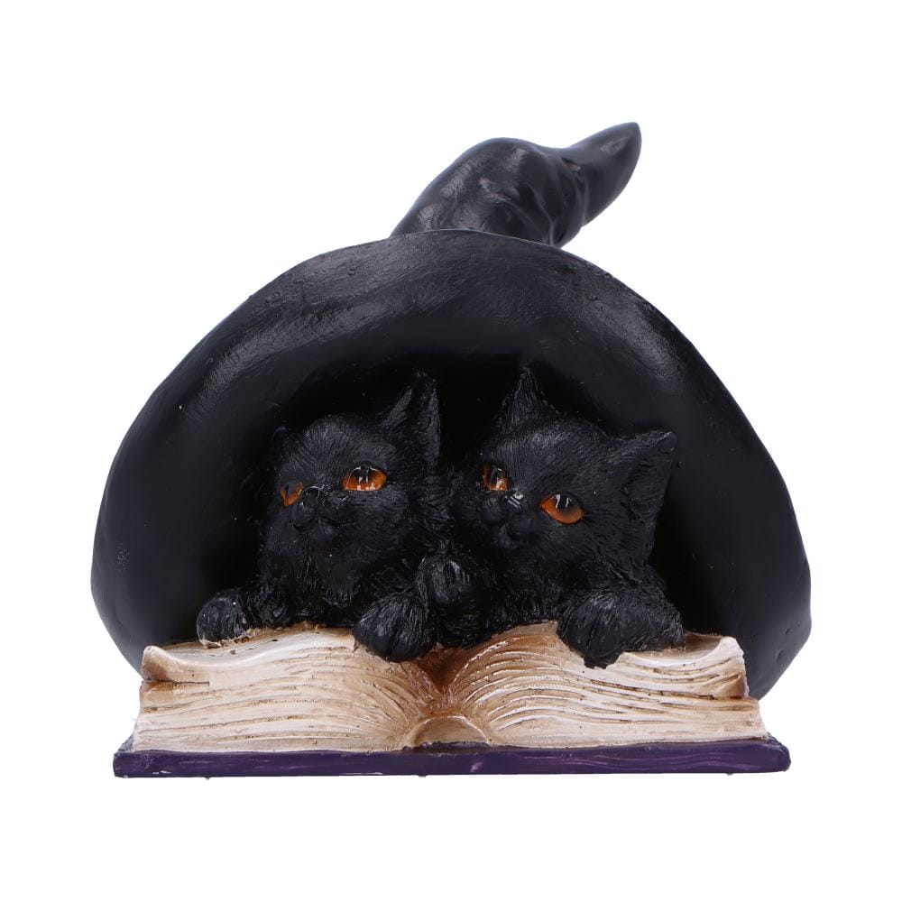 NEMESIS NOW POTION PAIR figura 10.5CM 801269157425