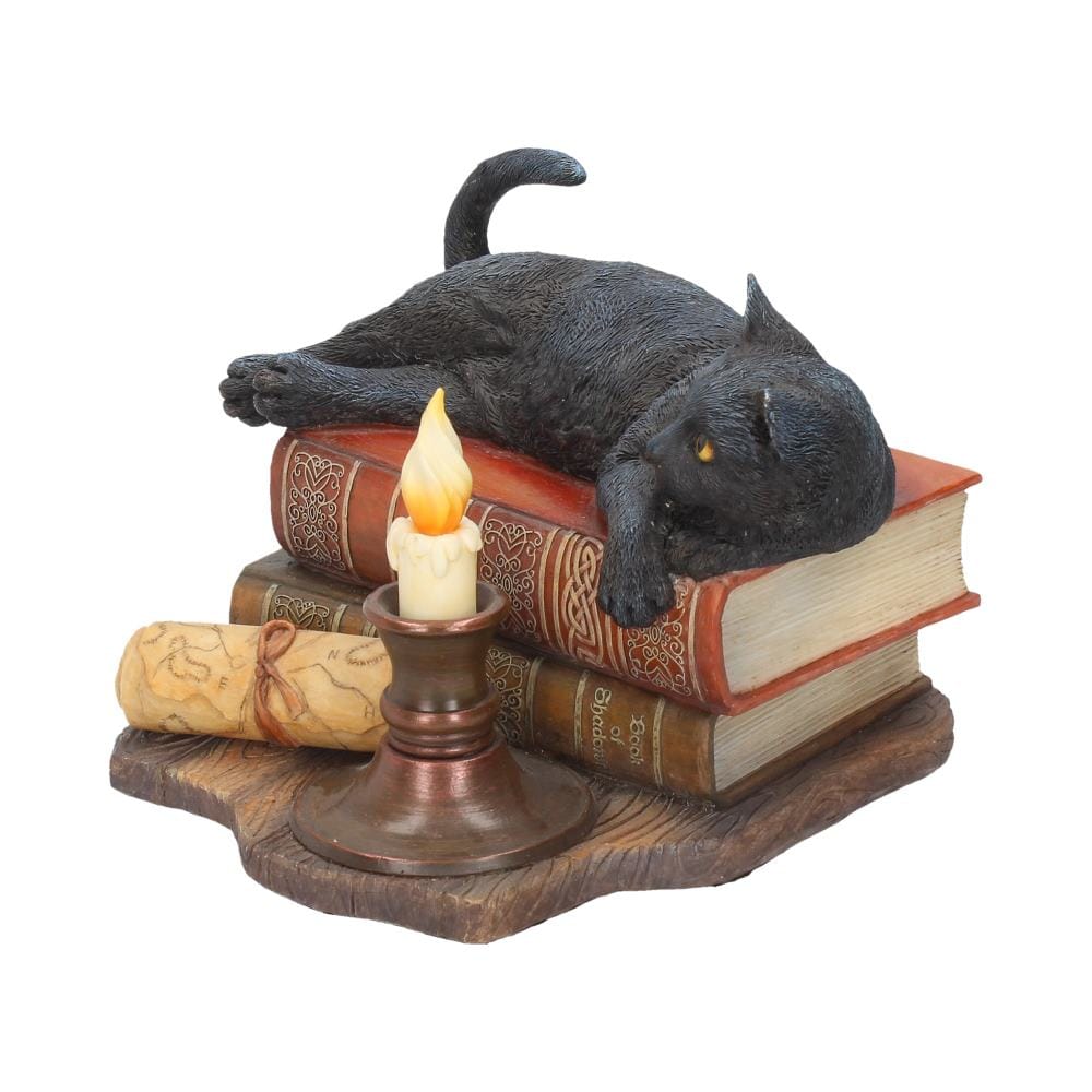 NEMESIS NOW THE WITCHING HOUR (LP) 20,5CM figura 801269114428