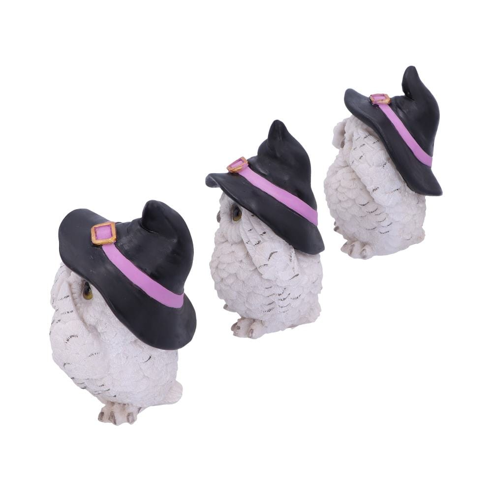 NEMESIS NOW THREE WISE FEATHERED FAMILIARS 9CM set figuric 801269144722