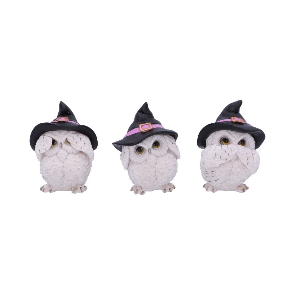 NEMESIS NOW THREE WISE FEATHERED FAMILIARS 9CM set figuric 801269144722