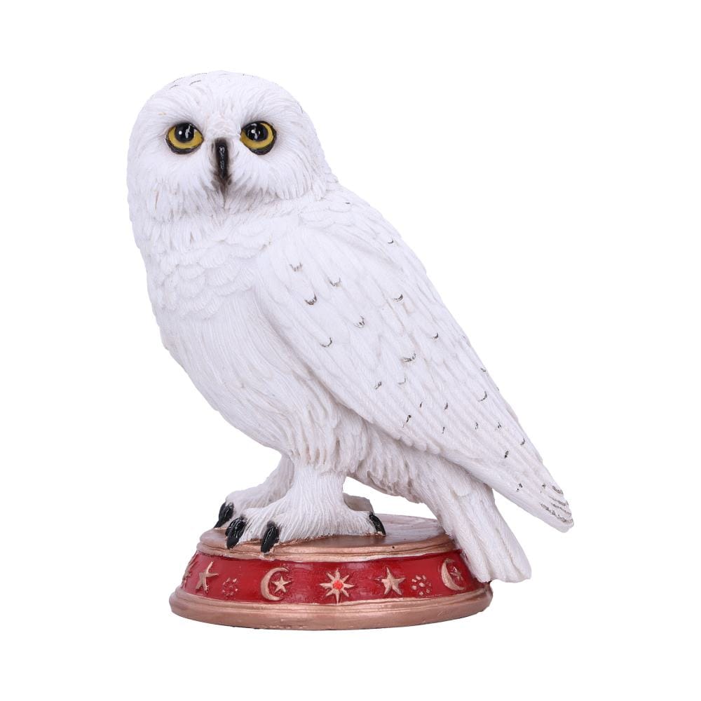 NEMESIS NOW WIZARD'S FAMILIAR figura 10CM 801269146290