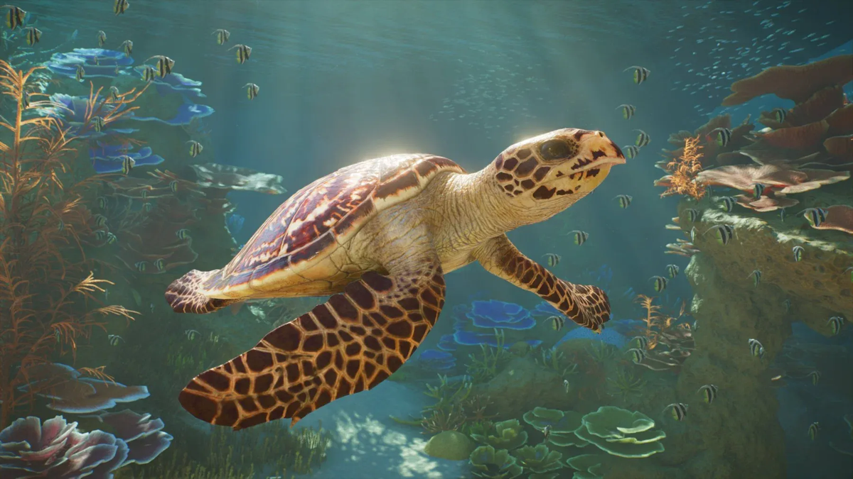 Planet Zoo 2 (Playstation 5) 5056208828293