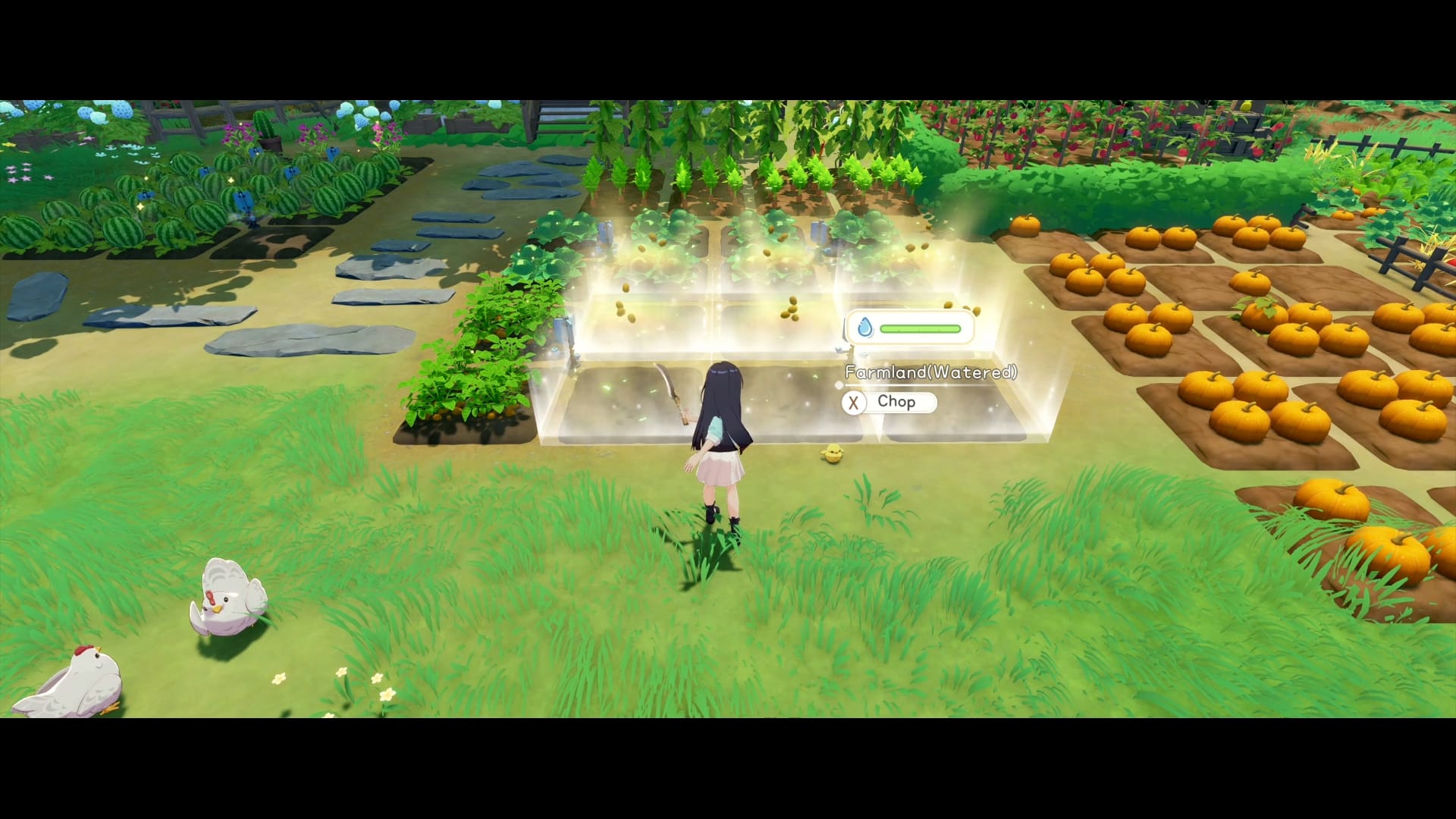 Starsand Island (Playstation 5) 5056635624734