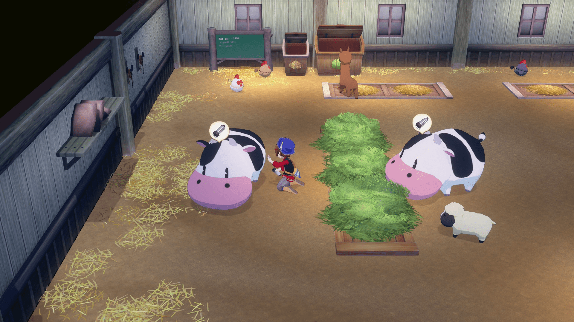 STORY OF SEASONS: Grand Bazaar (SWITCH) 5060540772824