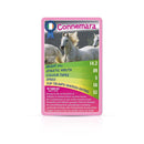 WINNING MOVES HORSES PONIES AND UNICORN TOP TRUMPS namizna igra 5036905044264