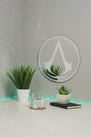 PALADONE ASSASSINS CREED MIRROR 5055964714864