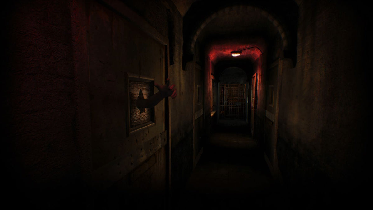 Asylum (Playstation 5) 8718591189418