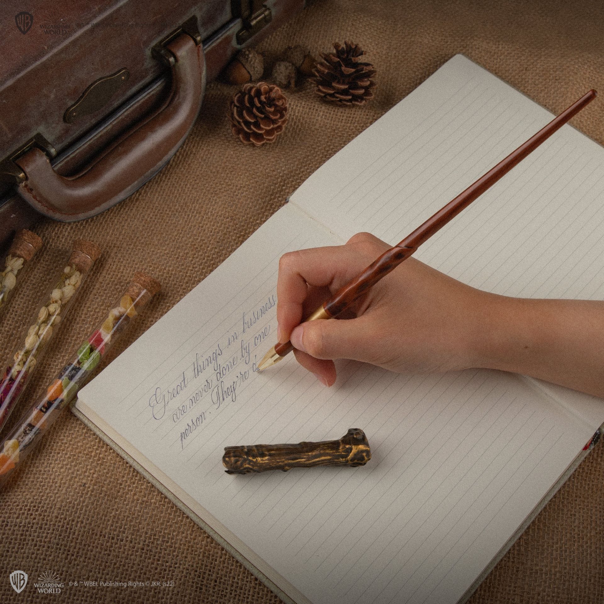 CINEREPLICAS: HARRY POTTER  - PEN WITH STAND UNIT BOX - HARRY POTTER 4895205608030
