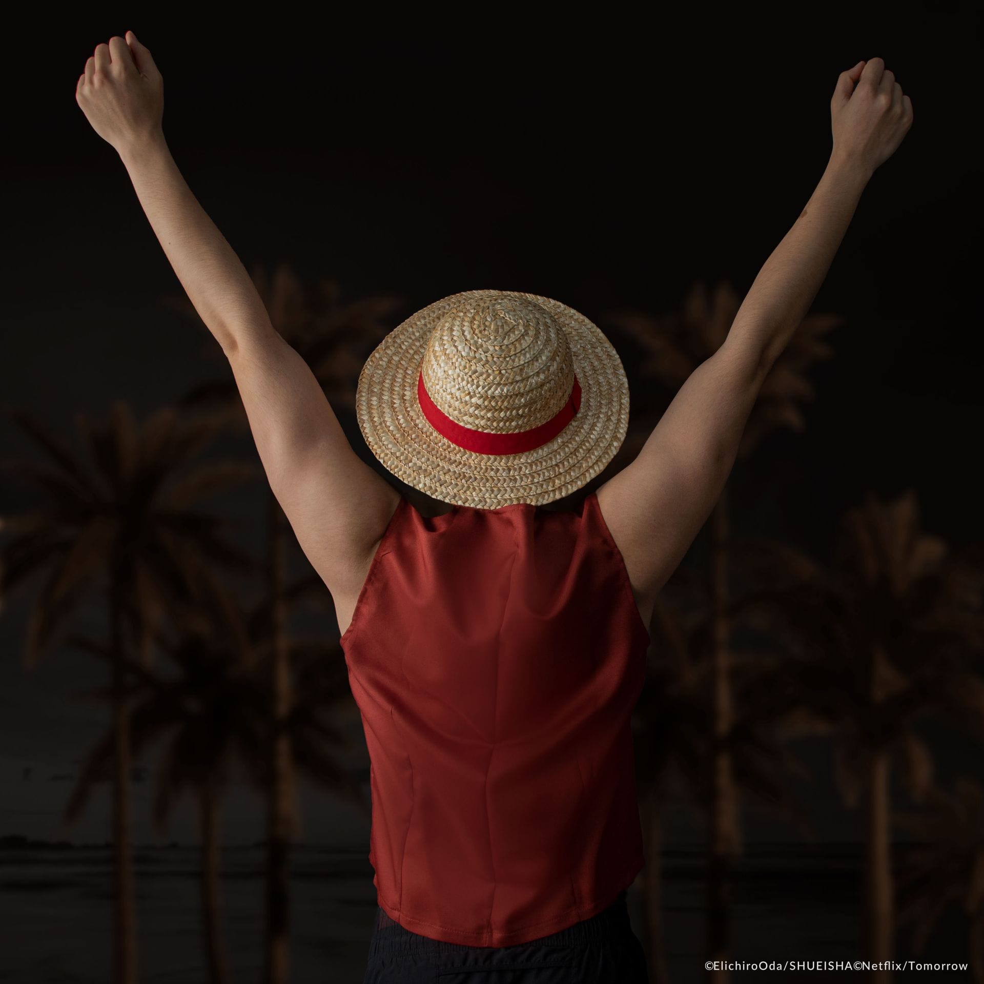 CINEREPLICAS: ONE PIECE - STRAW HAT - LUFFY slamnik 4895205618787