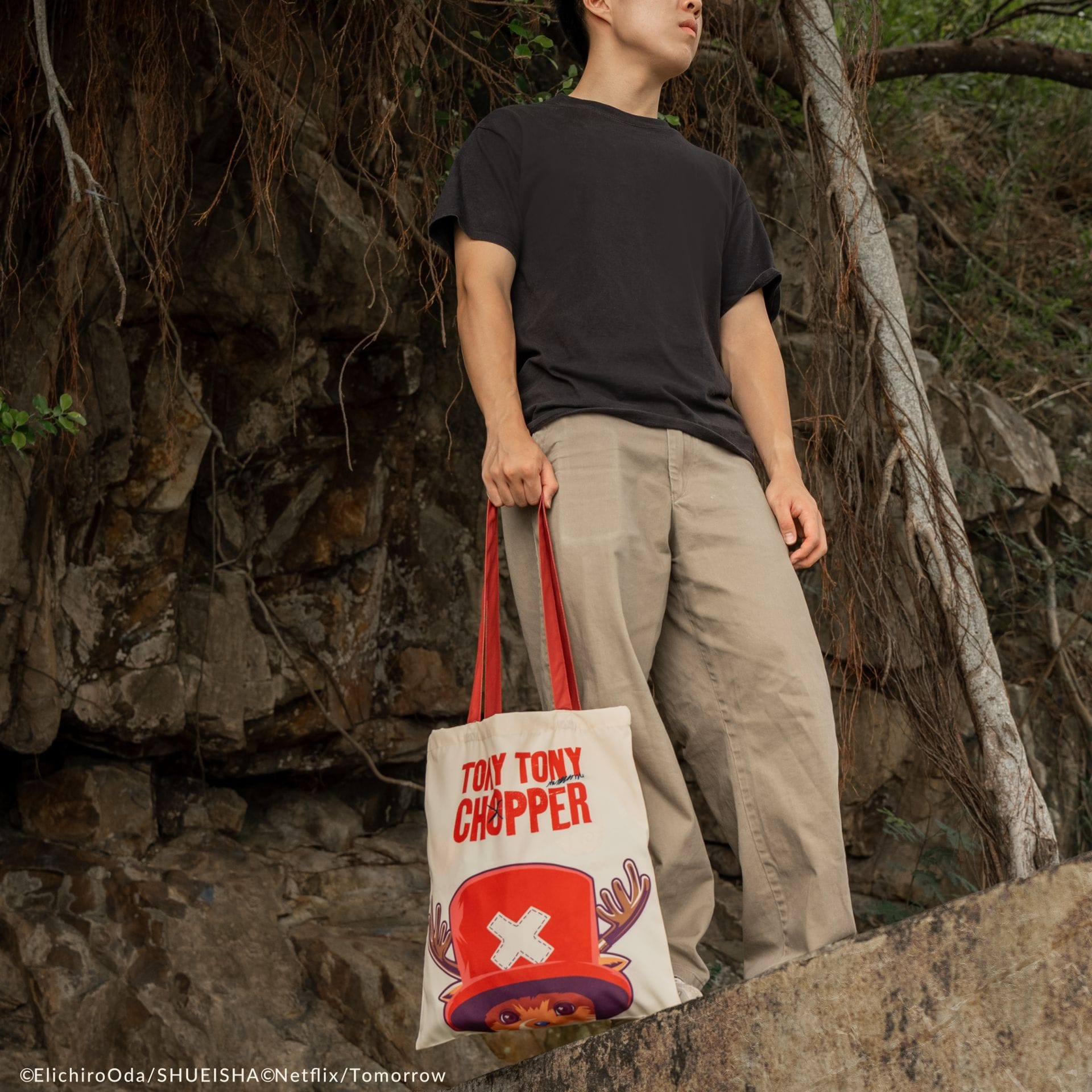 CINEREPLICAS: ONE PIECE - TOTE BAG - CHOPPER'S MAGIC FRUIT torbica 4895205623613
