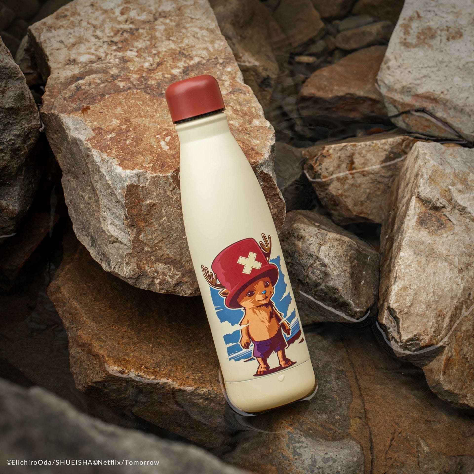 CINEREPLICAS: ONE PIECE - WATER BOTTLE - CHOPPER bidon 4895205624177