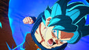 DRAGON BALL: Sparking! ZERO (Nintendo Switch) 3391892037944