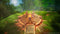 Dragon Quest I/II Remake (SWITCH) 5021290100619