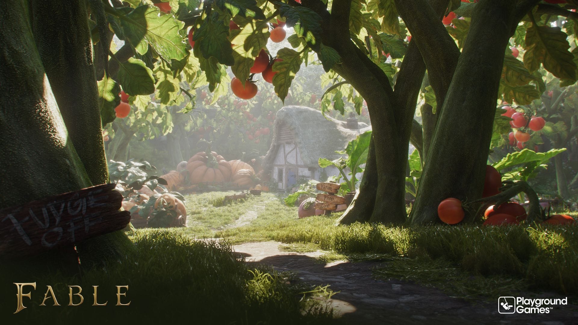 Fable (Xbox Series X) 196388866816