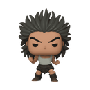 FUNKO POP ANIMATION: HUNTER X HUNTER - UVOGIN 889698803458