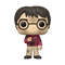 FUNKO POP HP: HP ANNIVERSARY- HARRY W/THE STONE 889698573665