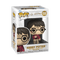 FUNKO POP HP: HP ANNIVERSARY- HARRY W/THE STONE 889698573665