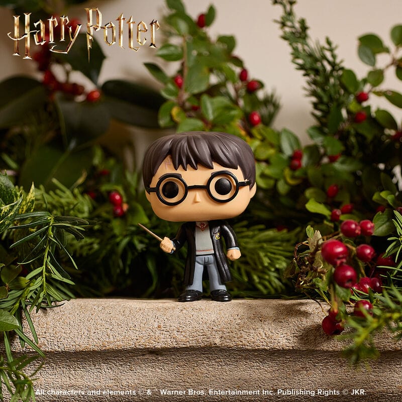 FUNKO POP! VINYL: HARRY POTTER: HARRY POTTER 849803058586