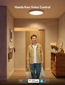 GOVEE 12INCH RGBWW + RGBIC pametna okrogla stropna svetilka 6974316994206