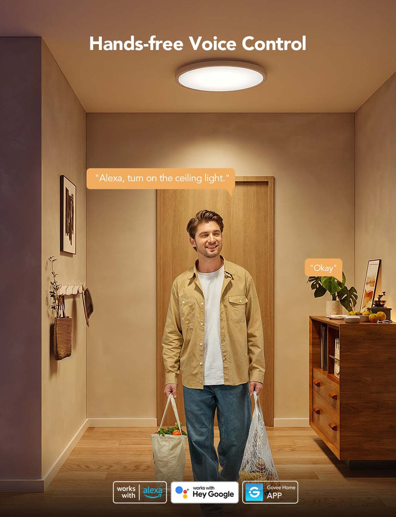 GOVEE 12INCH RGBWW + RGBIC pametna okrogla stropna svetilka 6974316994206