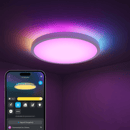 GOVEE 12INCH RGBWW + RGBIC pametna okrogla stropna svetilka 6974316994206