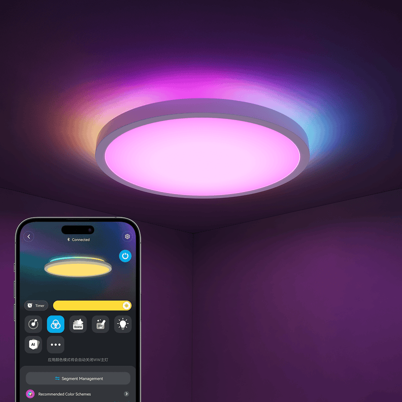 GOVEE 12INCH RGBWW + RGBIC pametna okrogla stropna svetilka 6974316994206