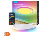 GOVEE 12INCH RGBWW + RGBIC pametna okrogla stropna svetilka 6974316994206