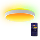 GOVEE 15INCH RGBICWW + RGBICWW pametna okrogla stropna svetilka 6974316995937