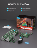 GOVEE božična svetlobna veriga - 20M 6974316995784