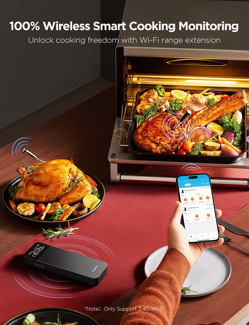 GOVEE pametni brezžični termometer - 2 sondi 6974316996798