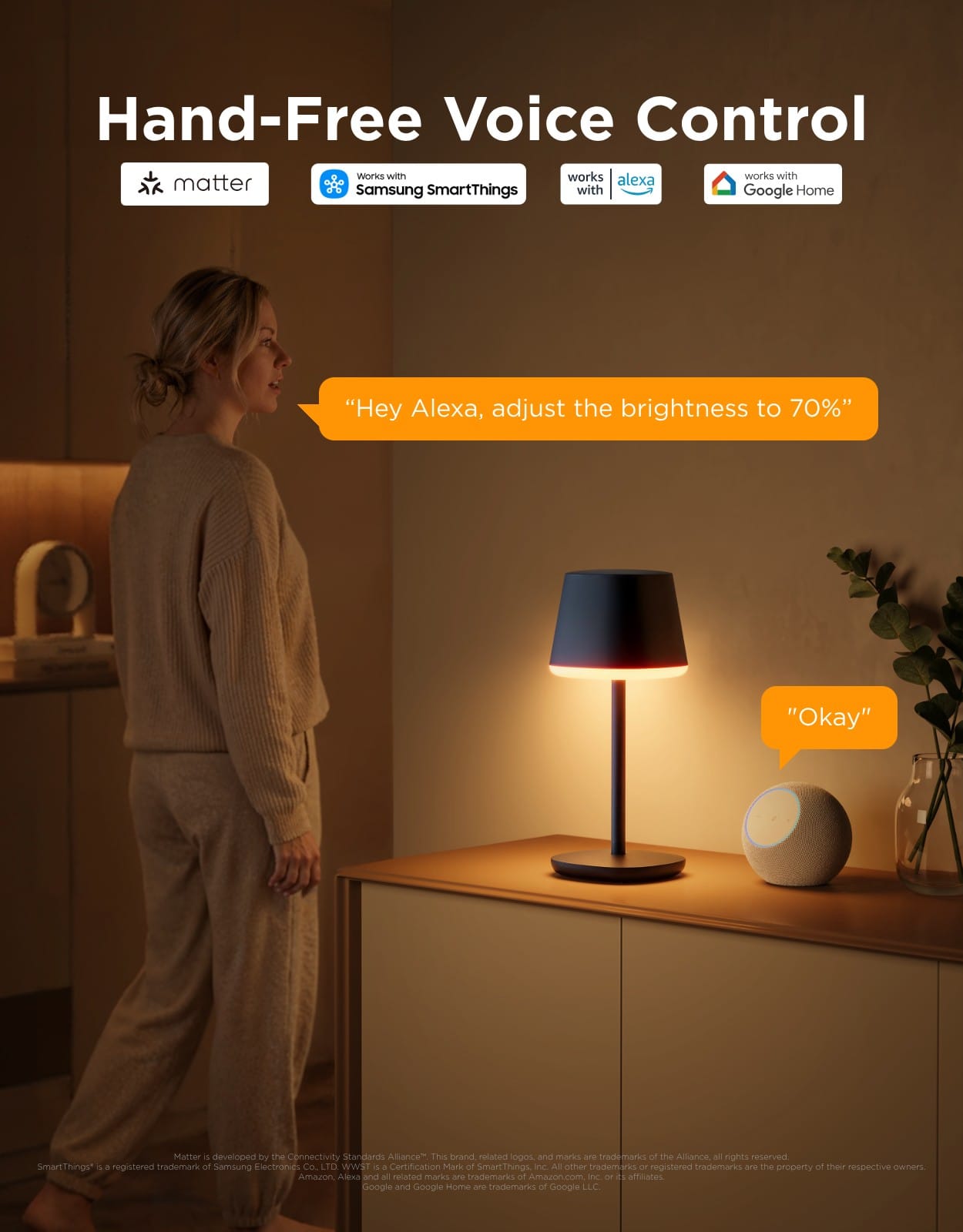 GOVEE TABLE LAMP WITH BATTERY 6974316991458