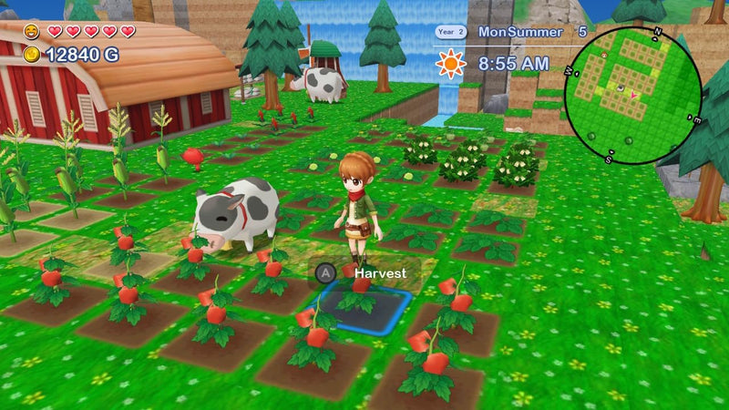 Harvest Moon: The Lost Valley & Skytree Village - Collector's Edition (Nintendo Switch) 5060997483519