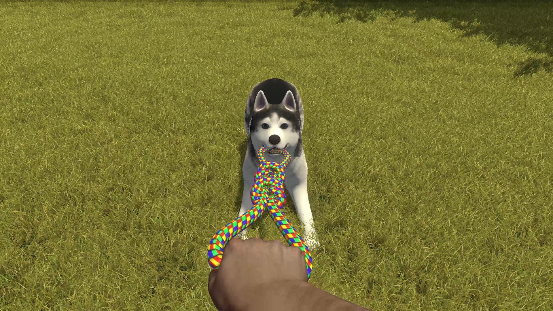 House Flipper - Pets Edition (Nintendo Switch) 5060264378494