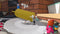 Human: Fall Flat - Dream Collection (Playstation 4) 5056635603449