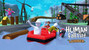 Human: Fall Flat - Dream Collection (Playstation 4) 5056635603449