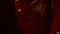 Karma: The Dark World - Limited Edition (PS5) 8436622260263