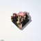 KINGDOM HEARTS ACRYLIC MAGNET GALLERY VOL. 4 (BOX) magneti 4988601365321