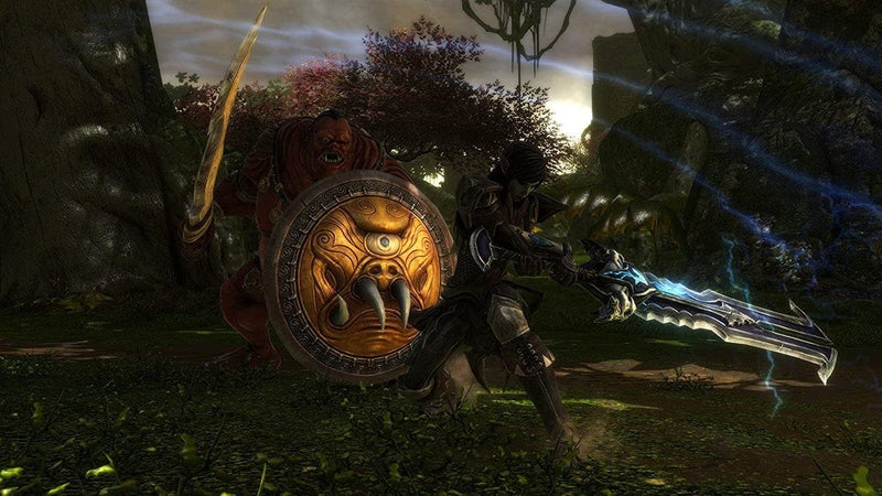 Kingdoms of Amalur Re-Reckoning (PC) - POŠKODOVANA EMBALAŽA 3200000001626
