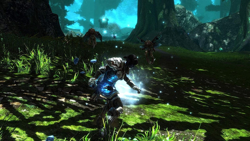Kingdoms of Amalur Re-Reckoning (PC) - POŠKODOVANA EMBALAŽA 3200000001626